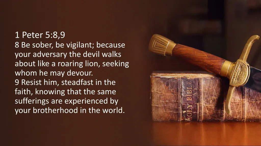 1 peter 5 8 9 8 be sober be vigilant because your