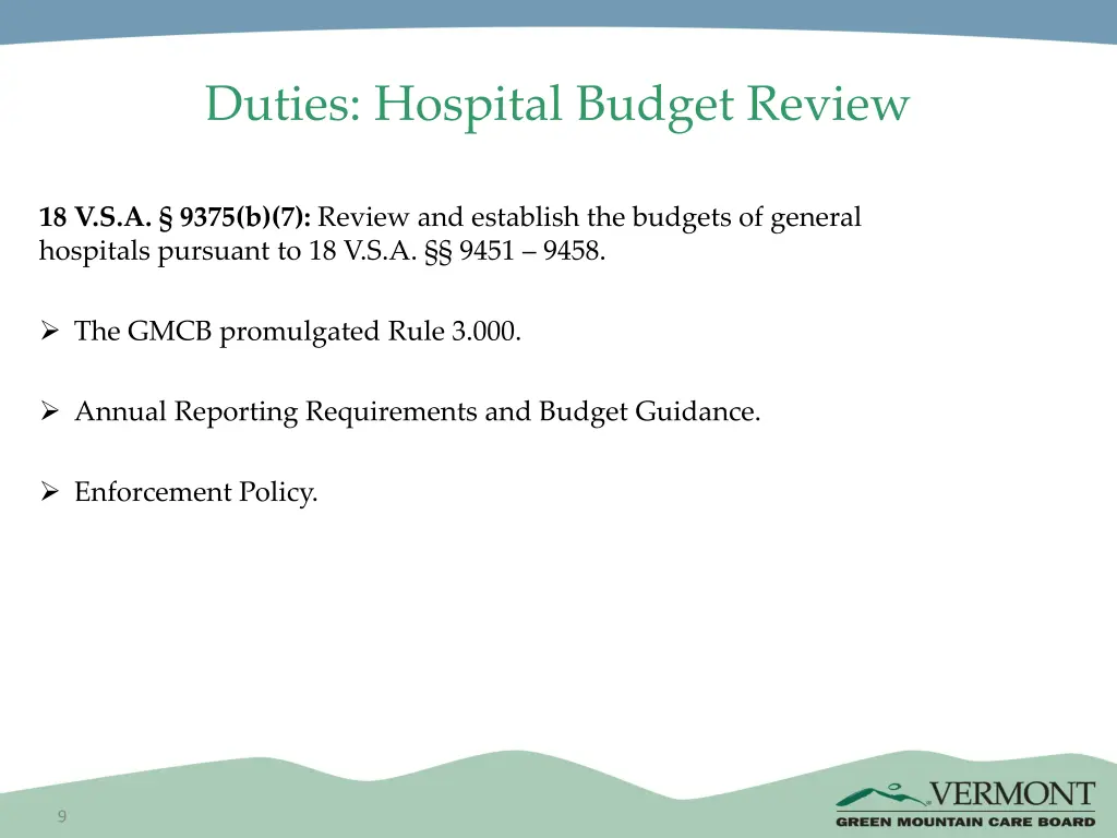 duties hospital budget review