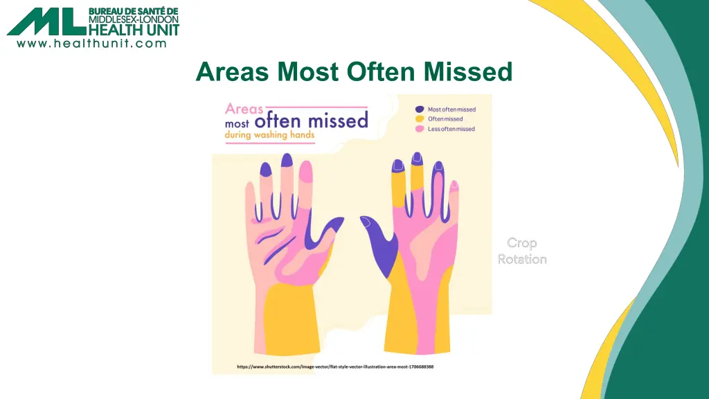 areas most often missed