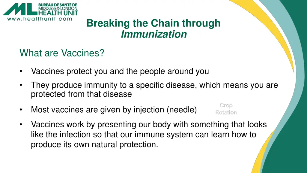 breaking the chain through immunization