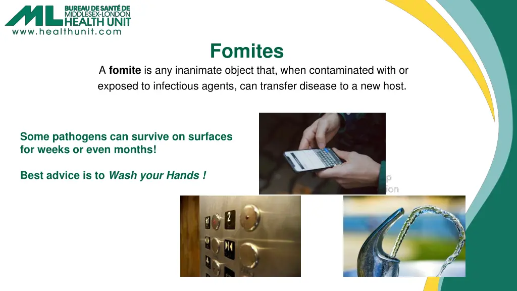 fomites