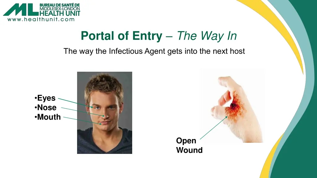 portal of entry the way in