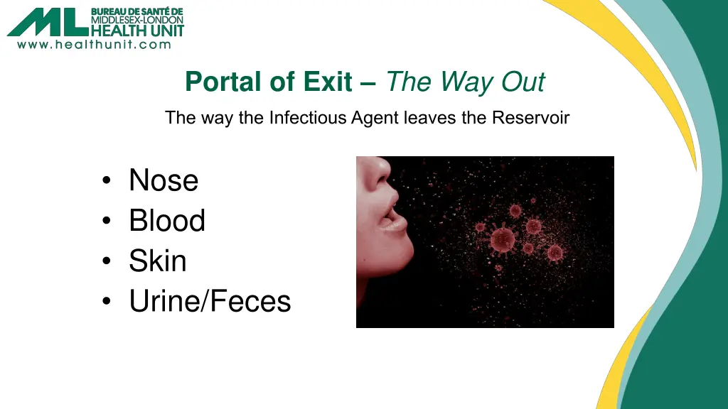 portal of exit the way out the way the infectious