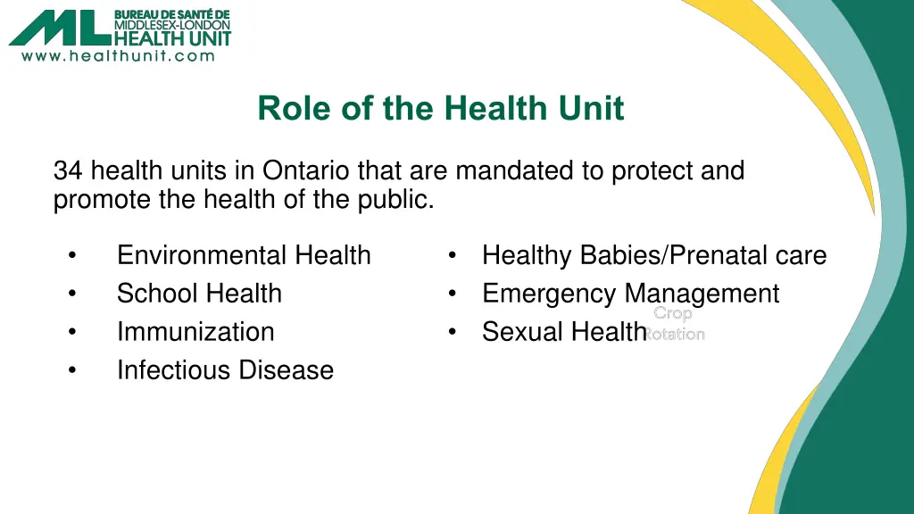 role of the health unit