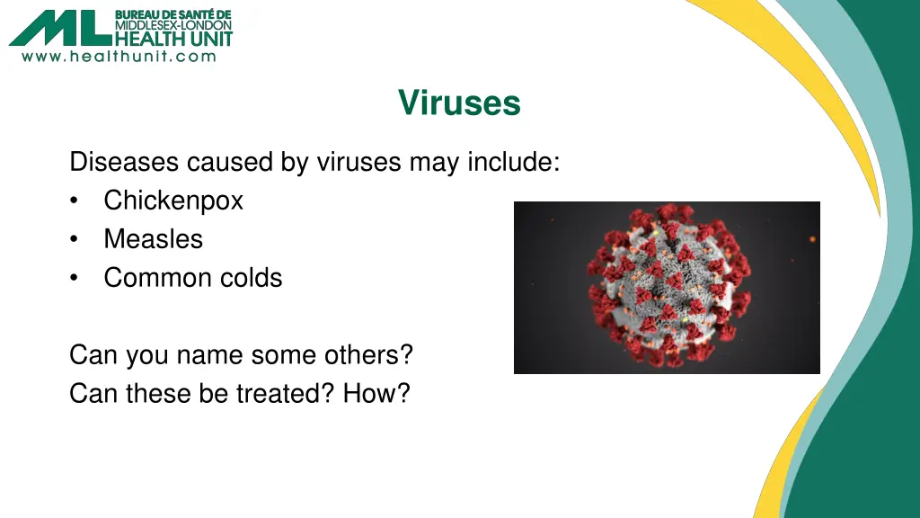 viruses 1