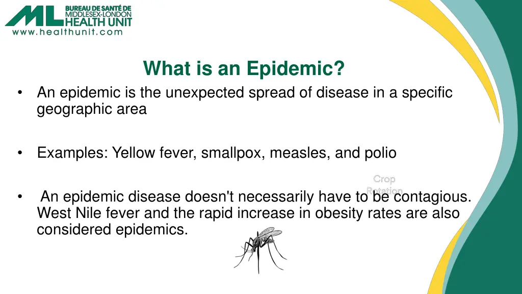 what is an epidemic