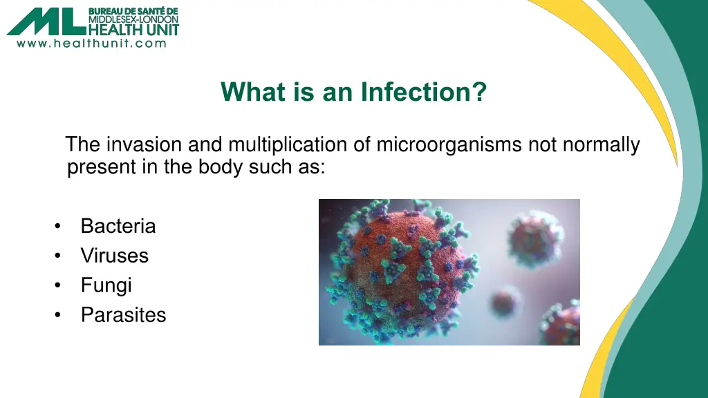 what is an infection