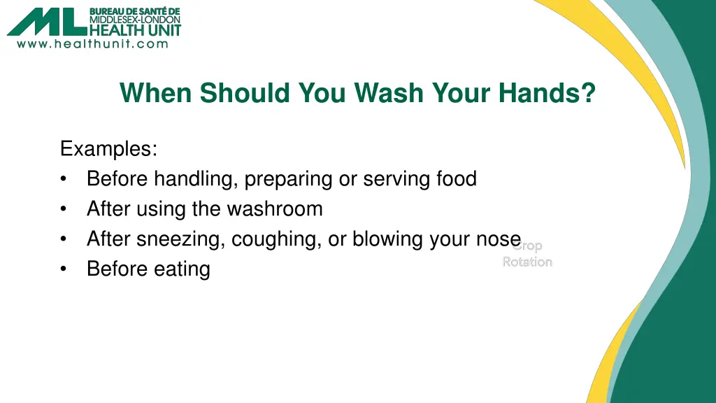 when should you wash your hands