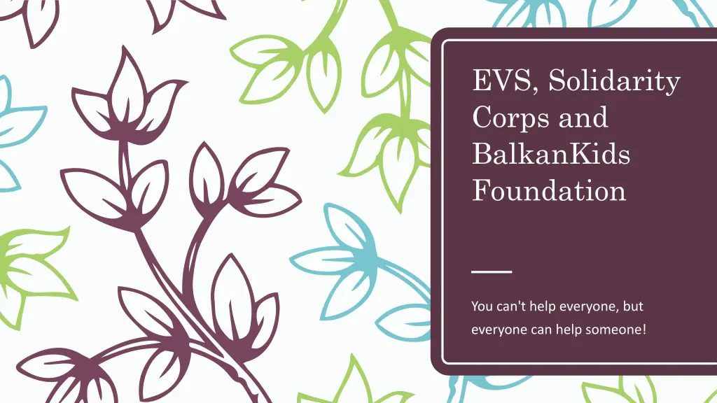 evs solidarity corps and balkankids foundation