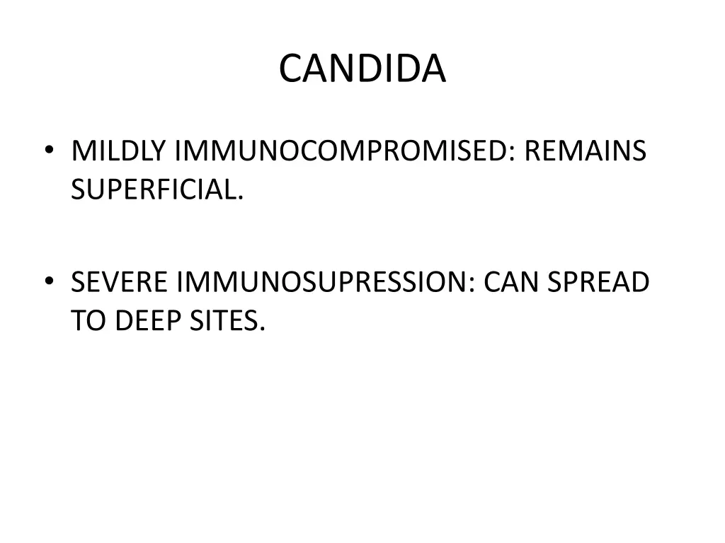 candida 1
