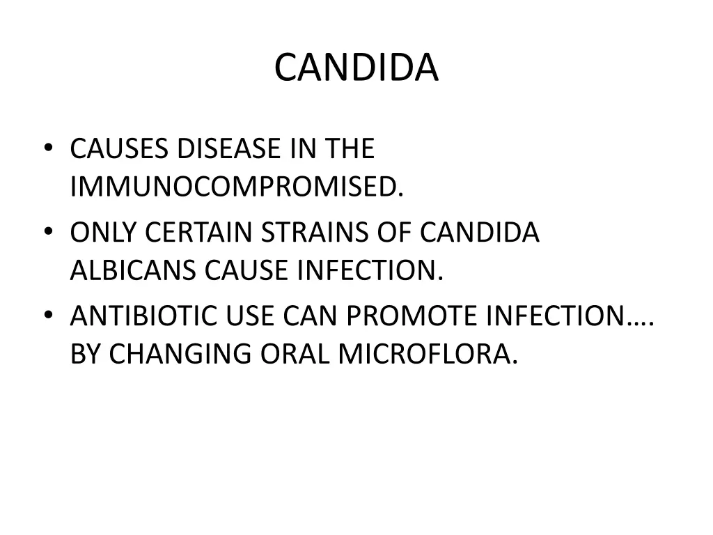 candida