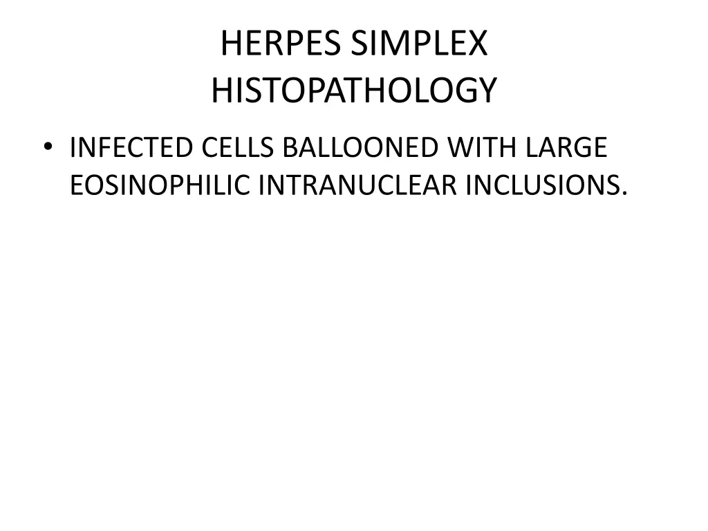 herpes simplex histopathology