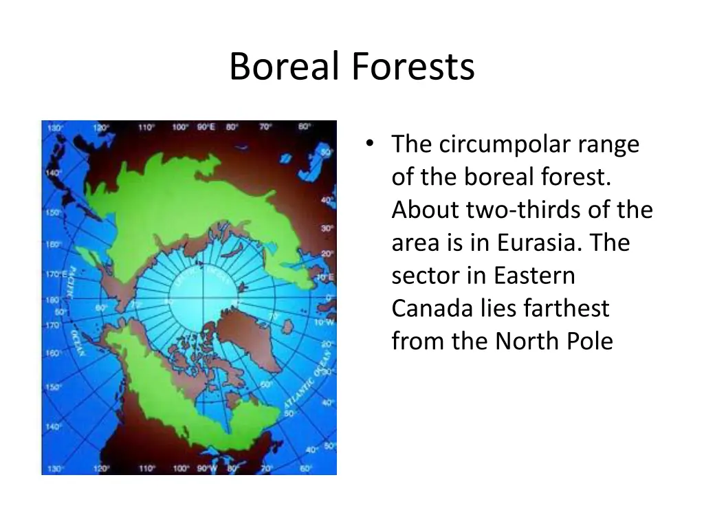 boreal forests