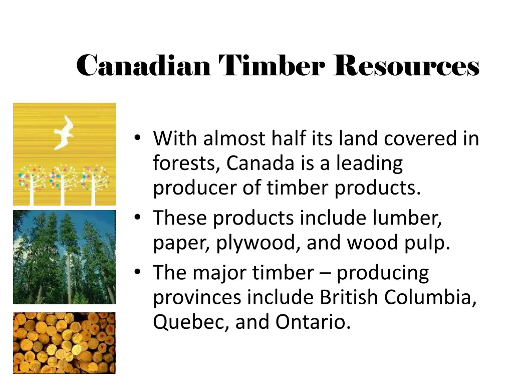 canadian timber resources