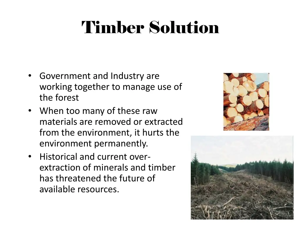 timber solution