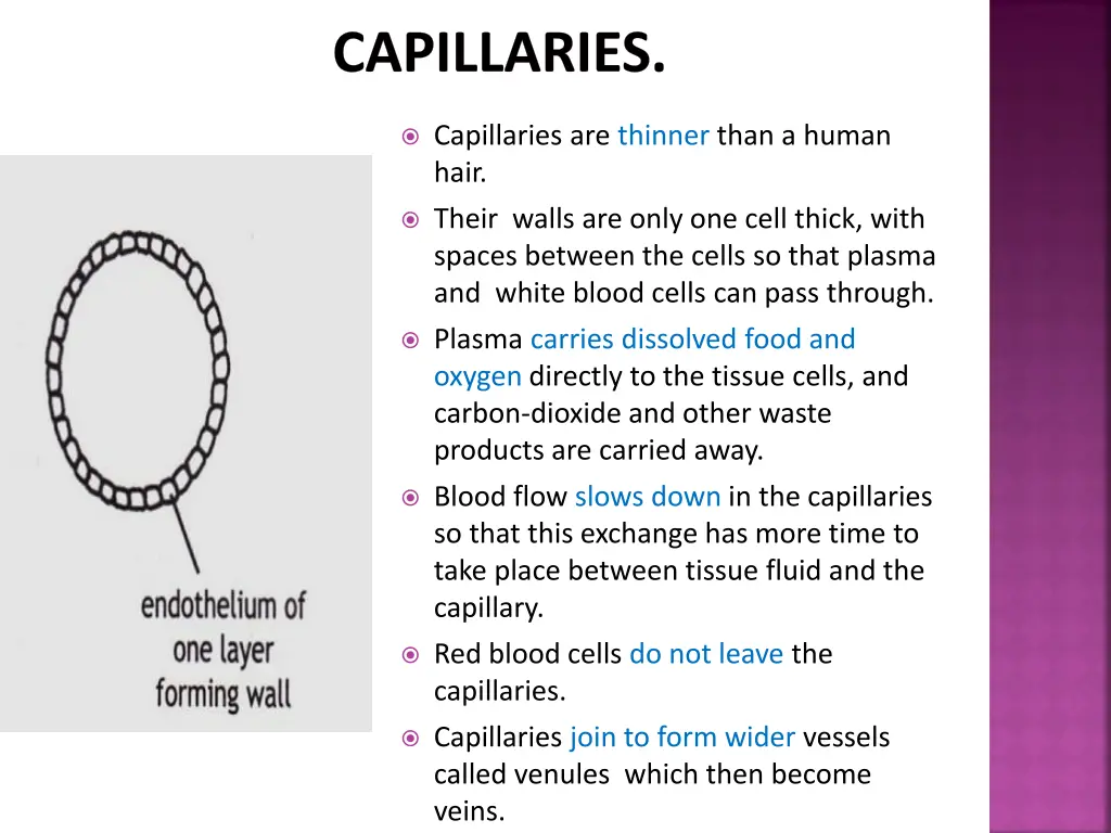 capillaries