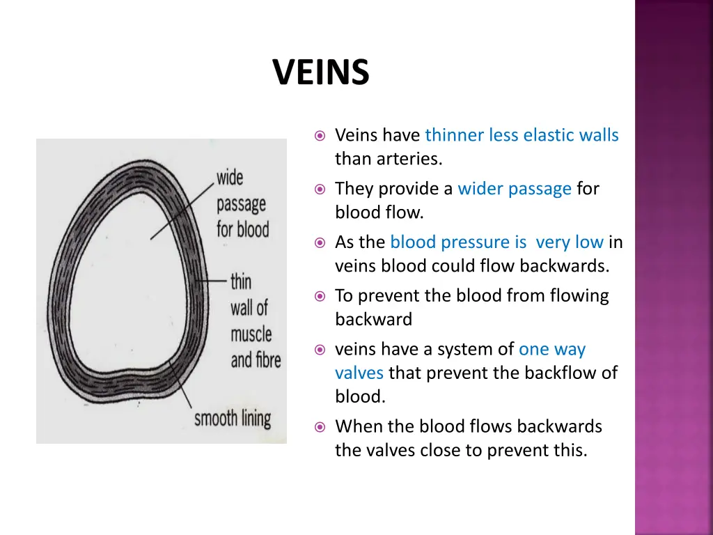 veins