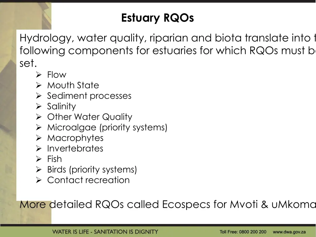 estuary rqos