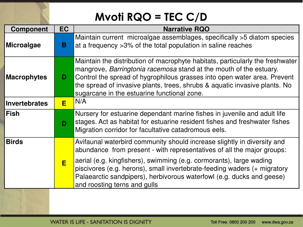 mvoti rqo tec c d 1