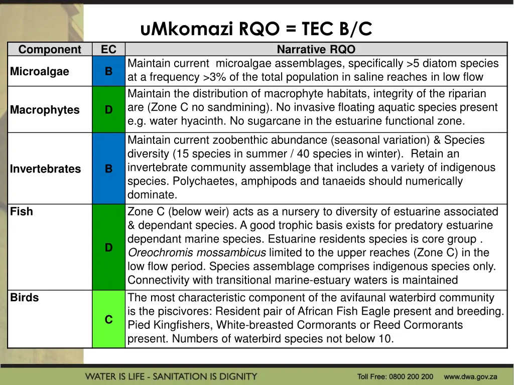 umkomazi rqo tec b c 1