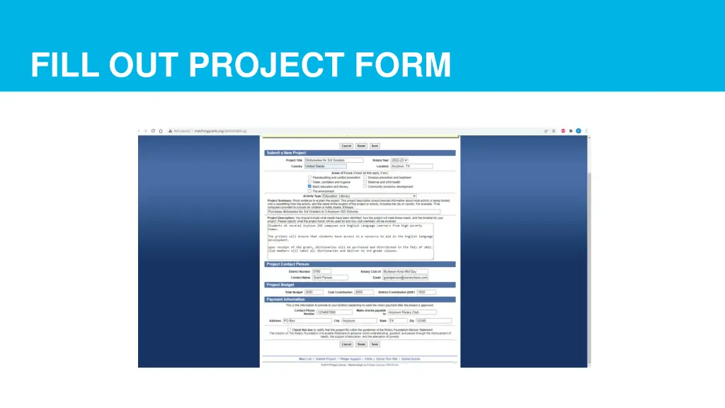 fill out project form