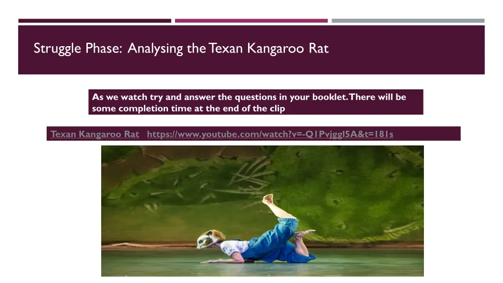 struggle phase analysing the texan kangaroo rat
