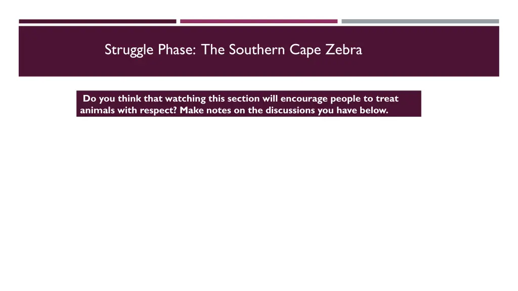 struggle phase the southern cape zebra 1