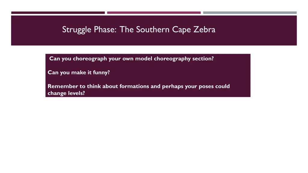 struggle phase the southern cape zebra 2