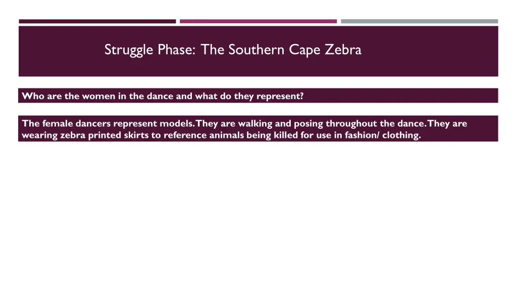 struggle phase the southern cape zebra