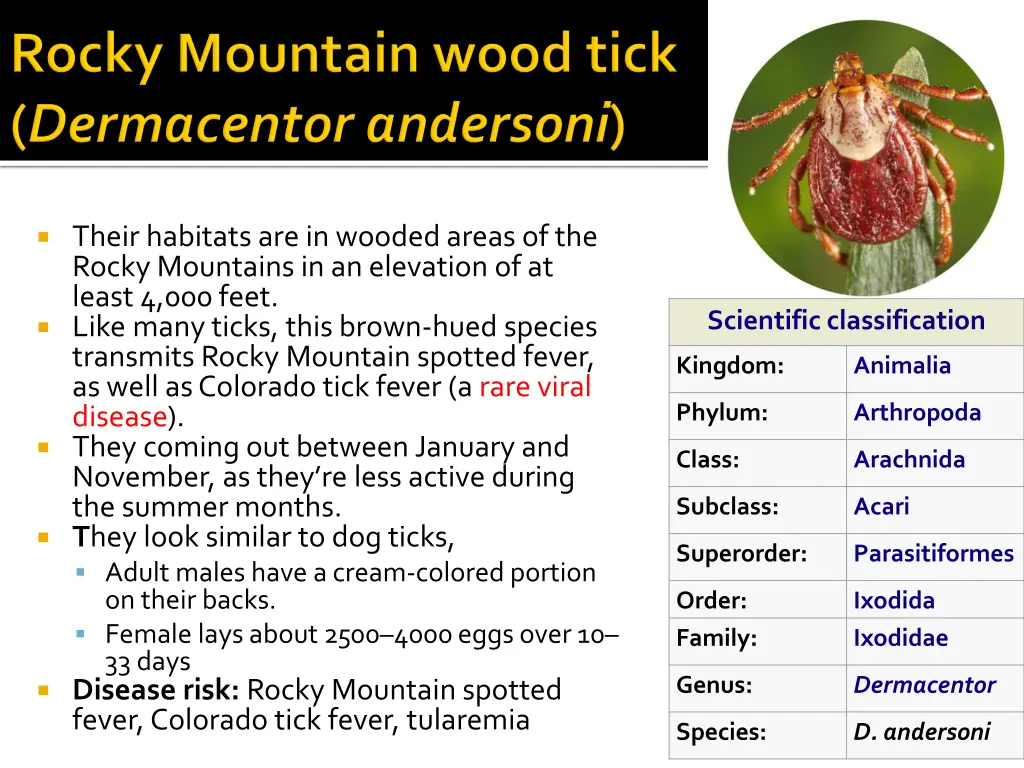 their habitats are in wooded areas of the rocky