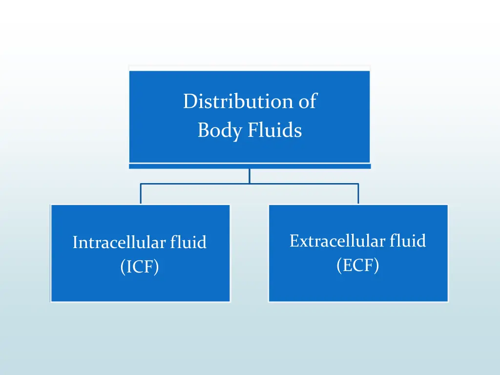 distribution of body fluids