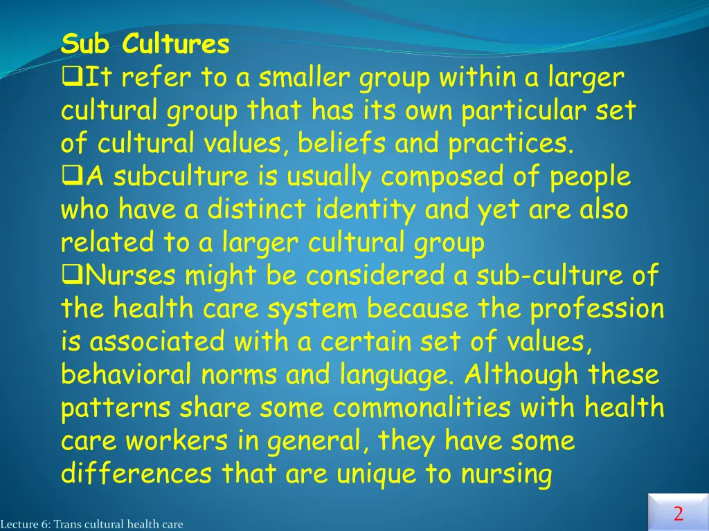 sub cultures it refer to a smaller group within
