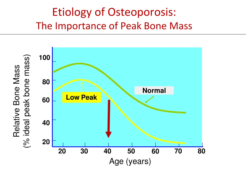 etiology of osteoporosis the importance of peak