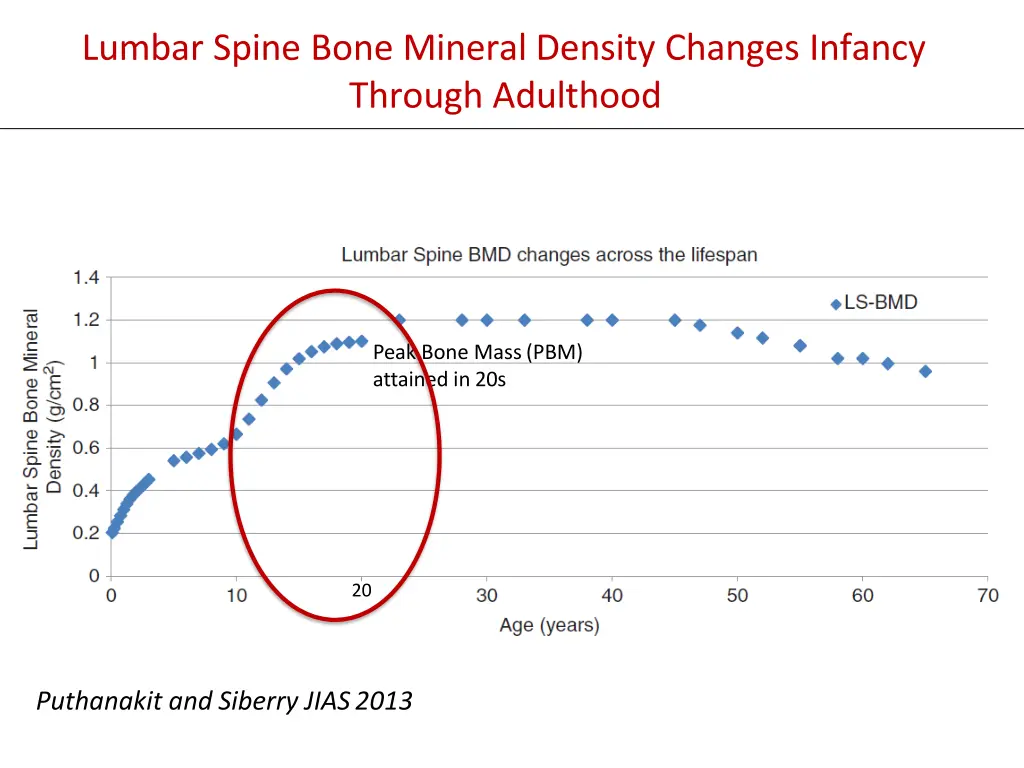 lumbar spine bone mineral density changes infancy