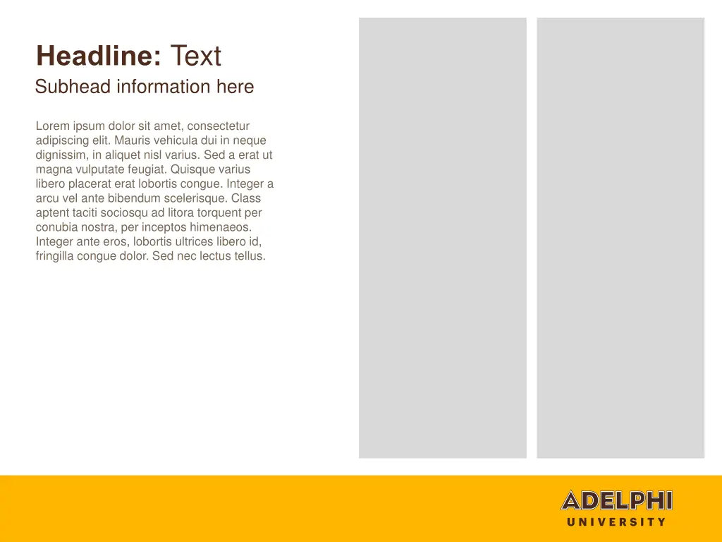 headline text subhead information here 1