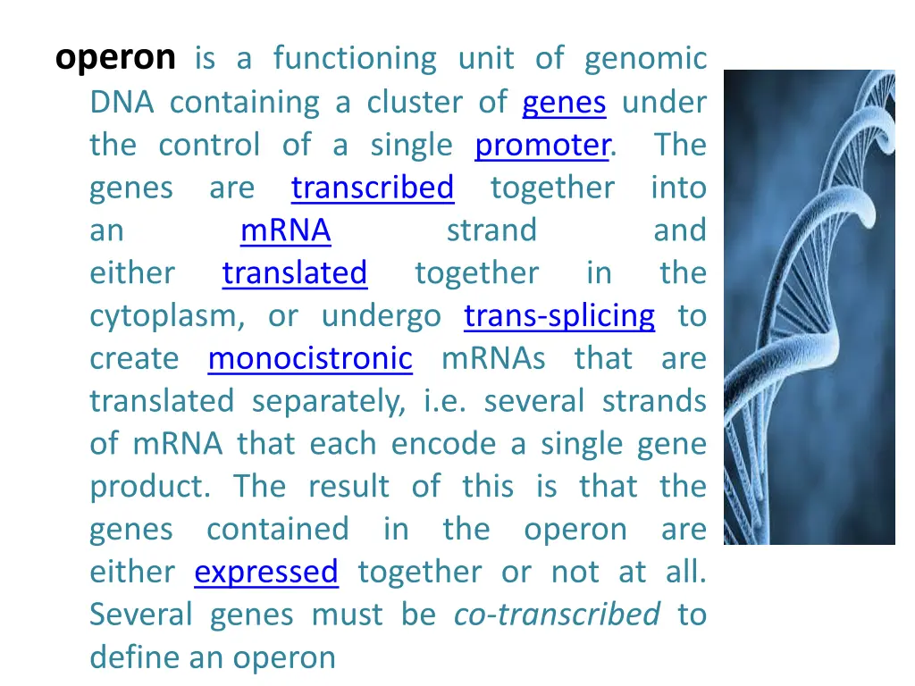 operon is a functioning unit of genomic