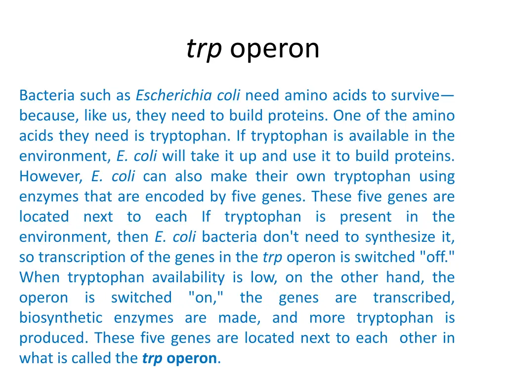 trp operon