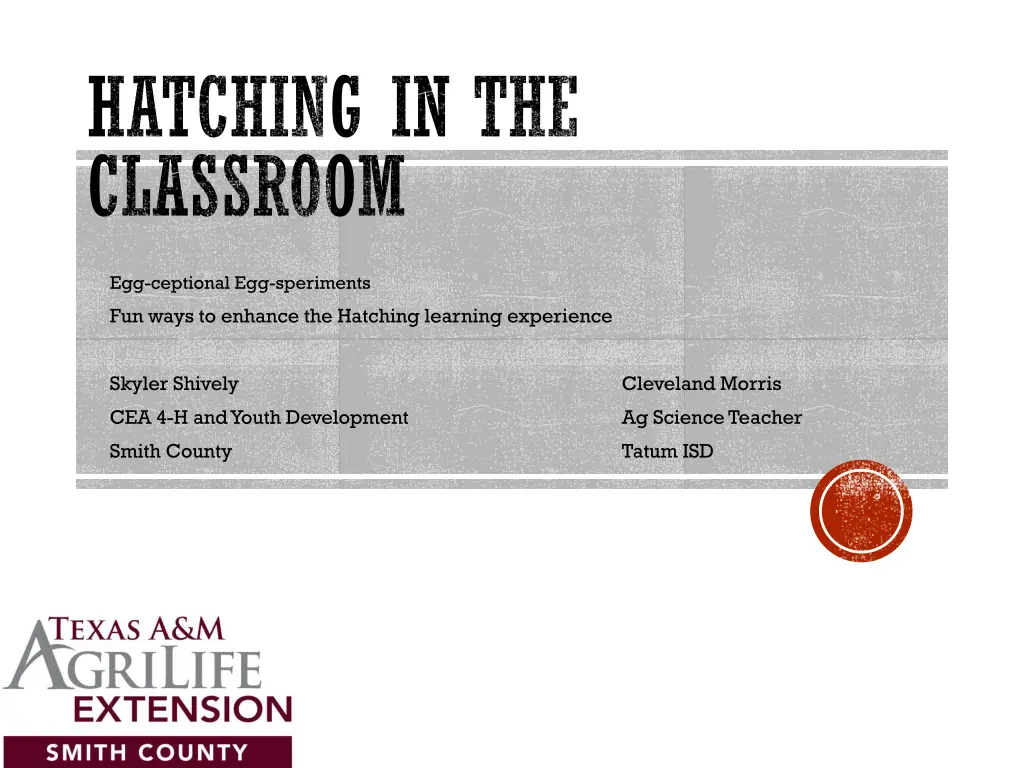 hatching in the classroom
