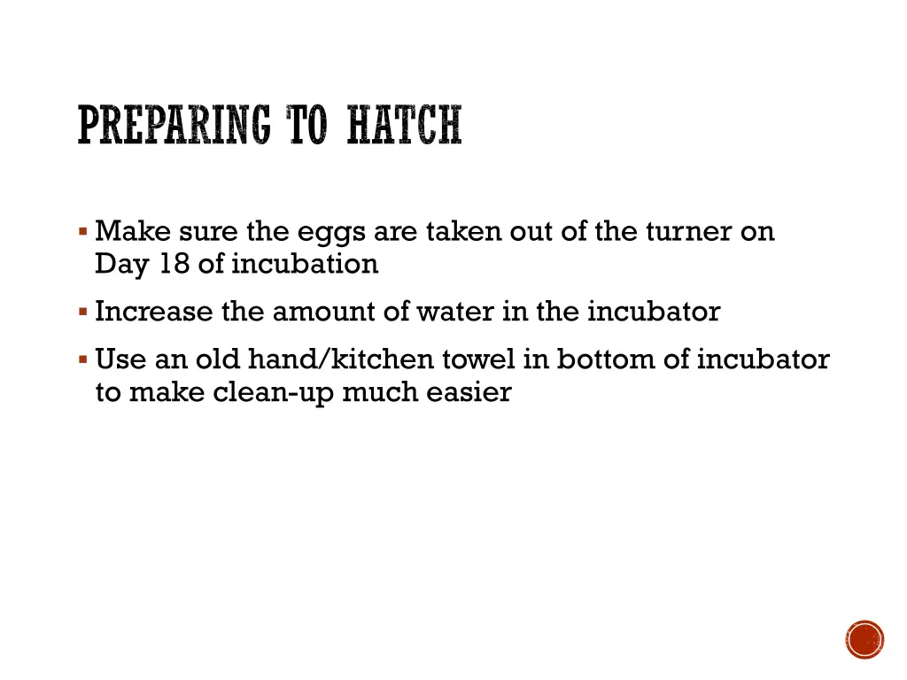 preparing to hatch