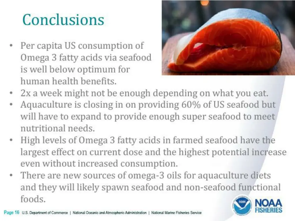 conclusions