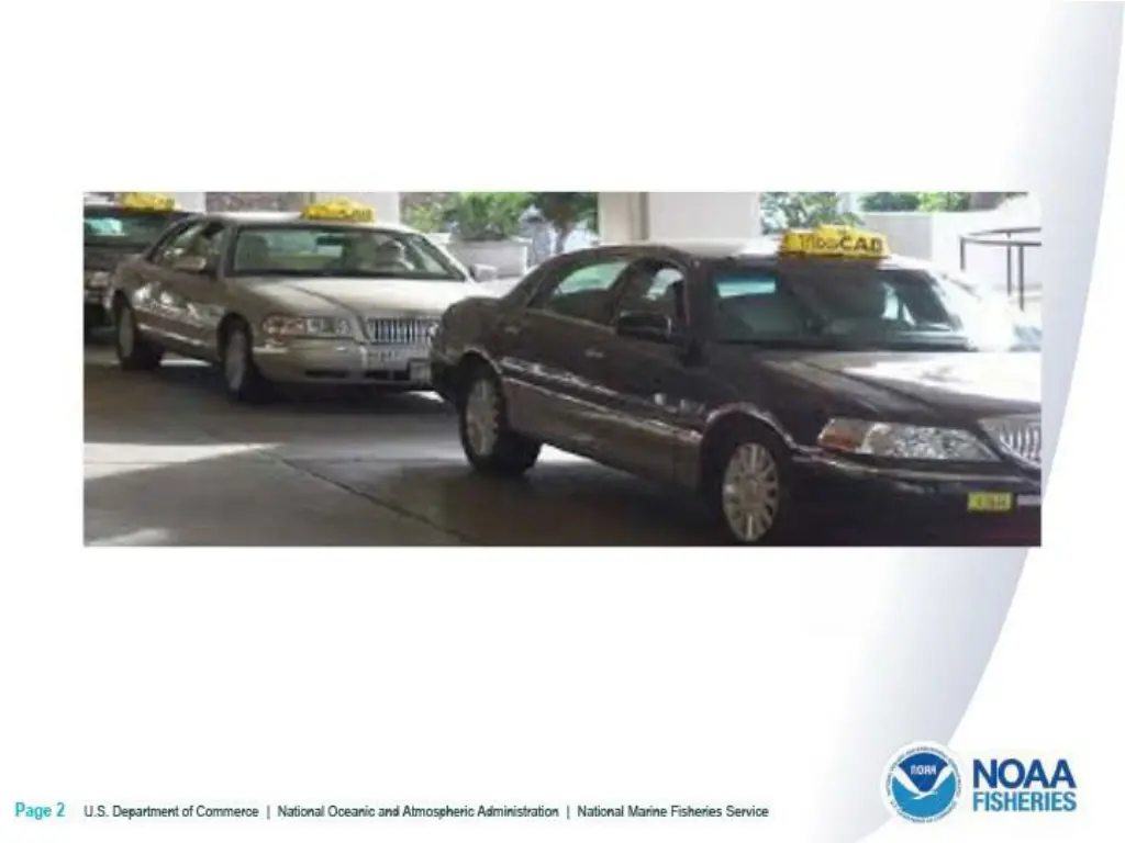 taxis