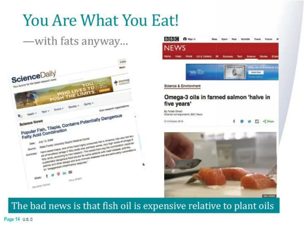 you are what you eat