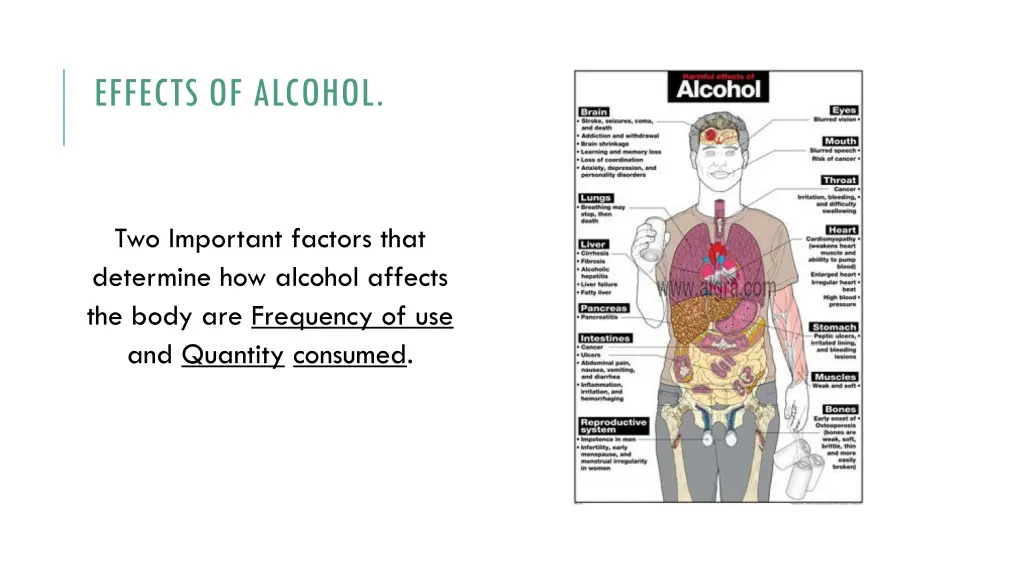 effects of alcohol