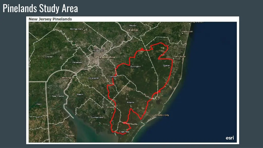 pinelands study area