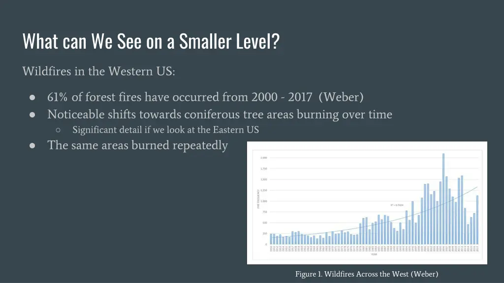 what can we see on a smaller level