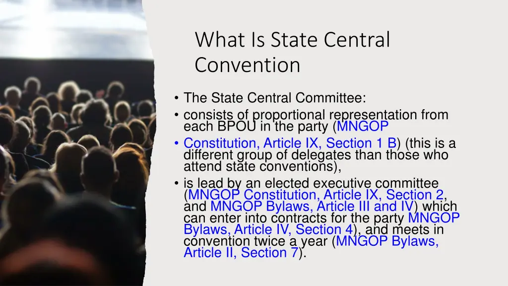 what is state central convention