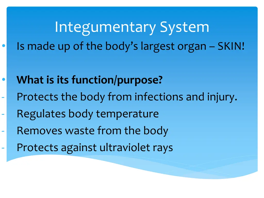 integumentary system is made up of the body