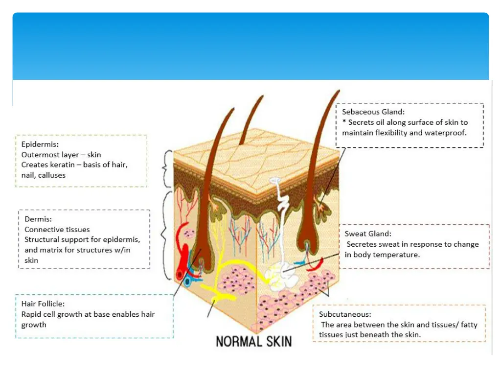 slide10