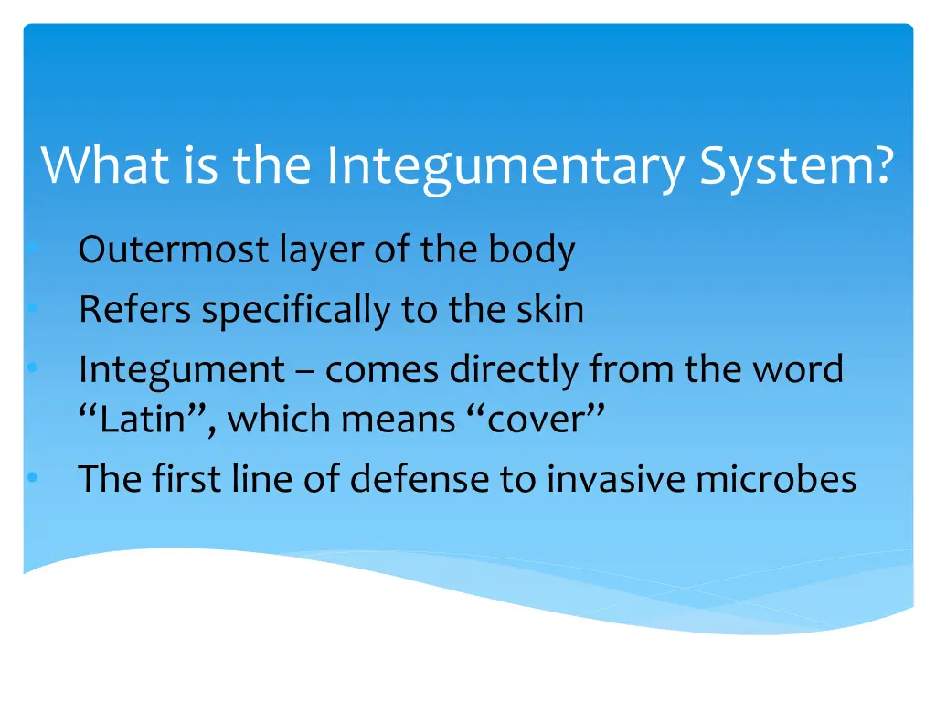 what is the integumentary system