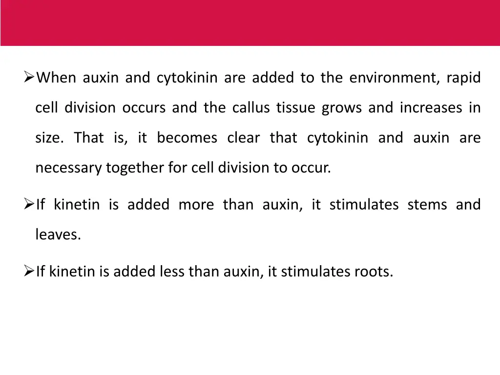 when auxin and cytokinin are added